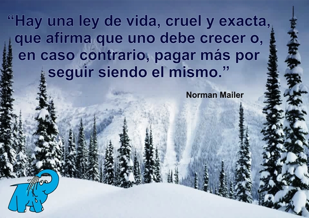 Hay una ley de vida, cruel y exacta, que afirma que uno debe crecer o, en caso contrario, pagar más por seguir siendo el mismo.